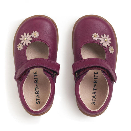 A girls Mary Jane shoe by Start Rite, style Fairy Tale, in plum leather with flower detail and velcro fastening. Top view of a pair.
