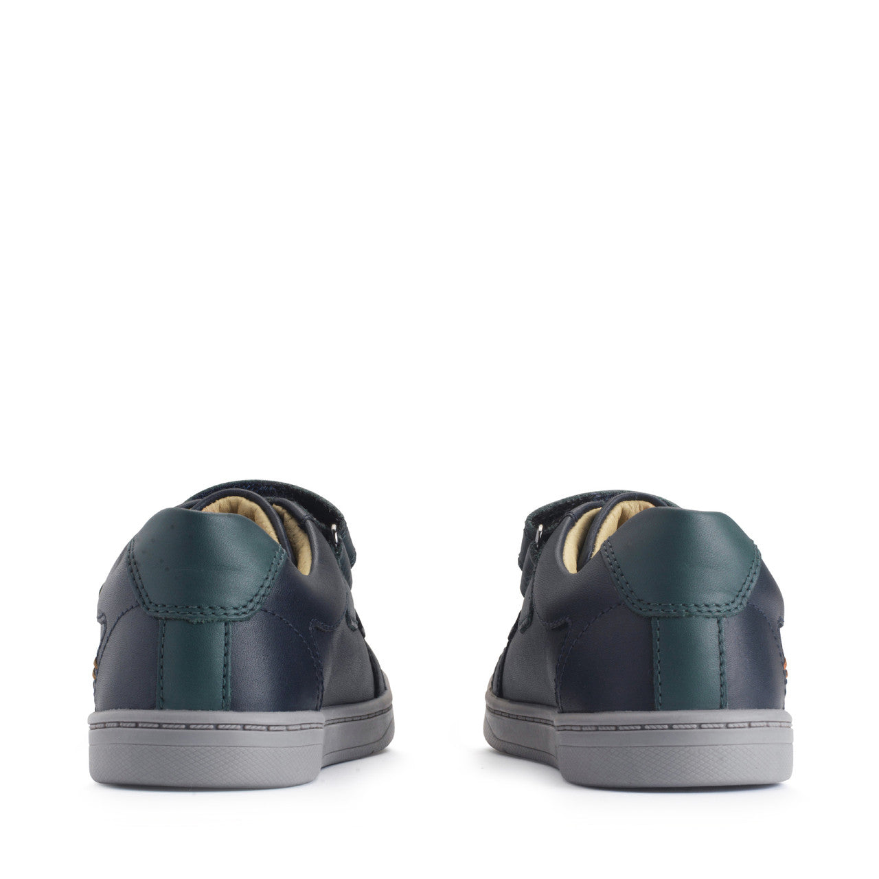 A boys casual school shoe by Start Rite, style Explore, in navy and teal leather with double velcro fastening. Back view of a pair.