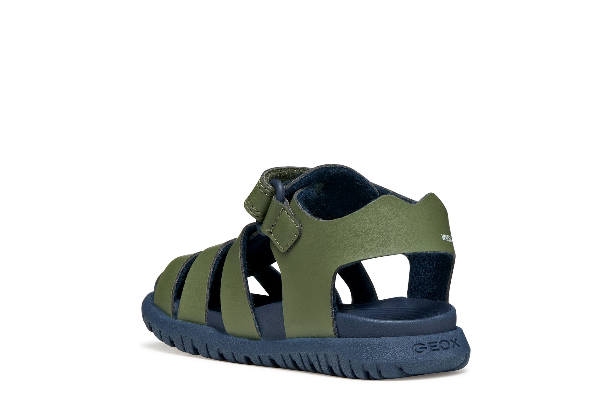 A boys sandal by Geox, style Fusbetto in sage/navy with sage body and navy sole. Inner back view