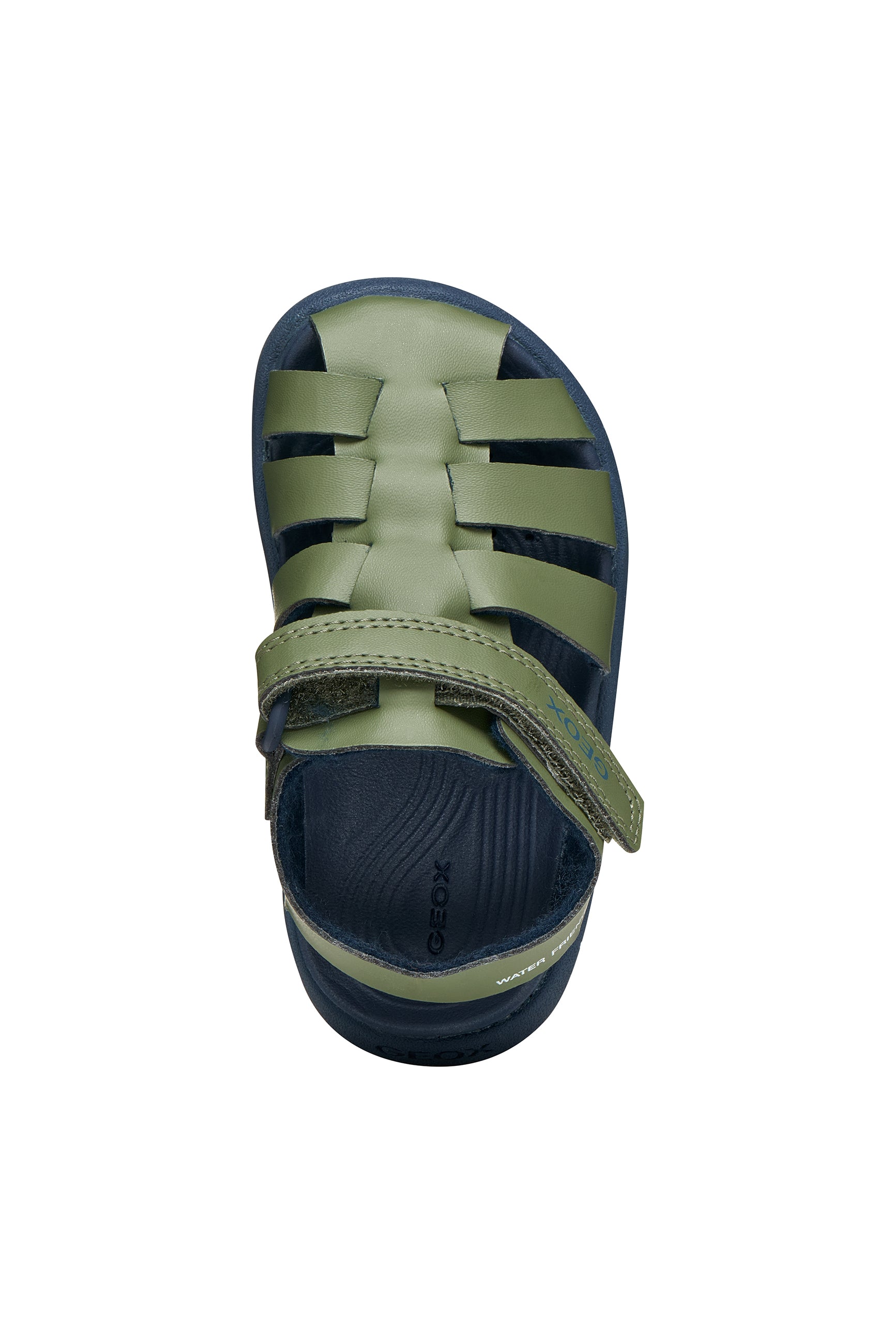 A boys sandal by Geox, style Fusbetto in sage/navy with sage body and navy sole. Top view
