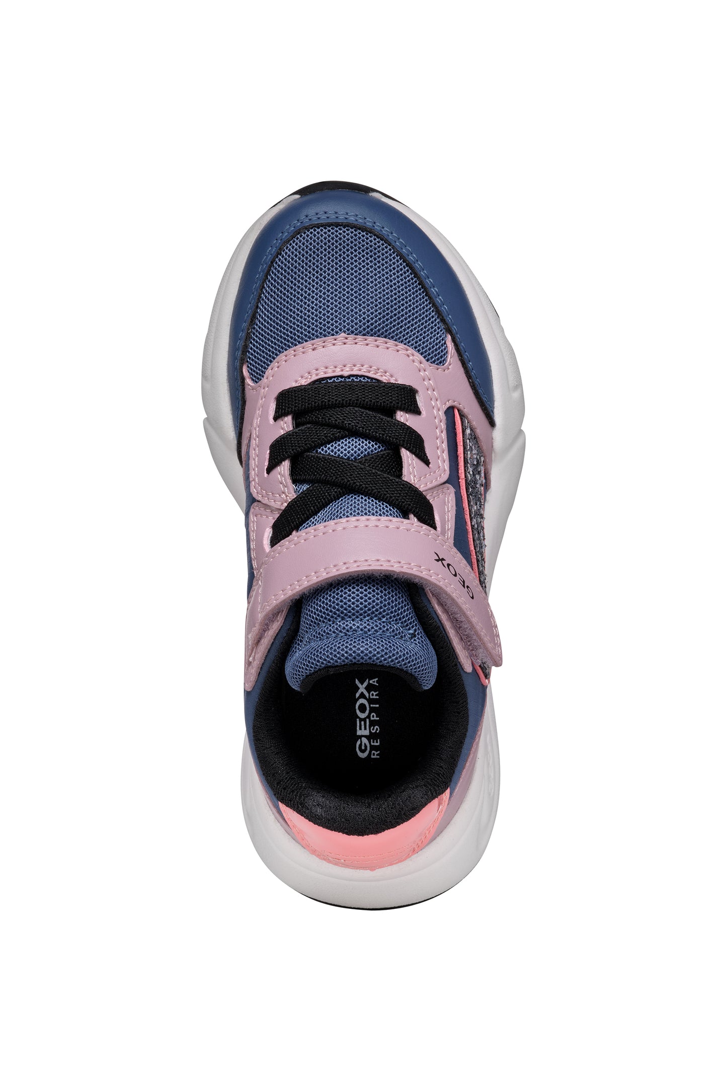 Geox | Loftus Girl | J46M2A | Girls Velcro Trainer | Avio/Dark Rose