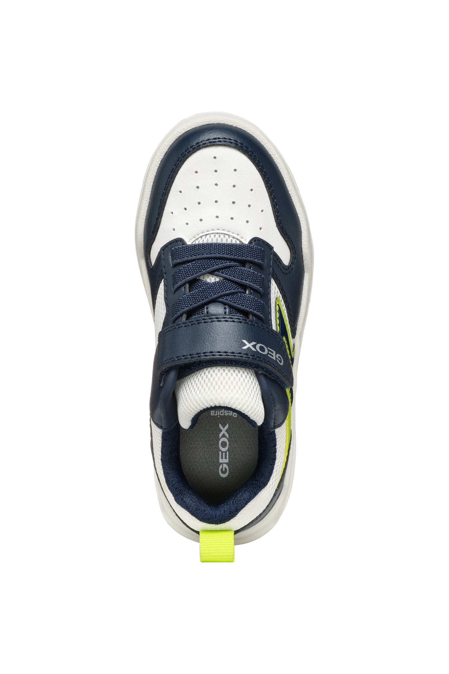 A boys light up trainer by Geox, style J Buzzerlight, in navy and lime with elastic lace and single velcro fastening. Above view.