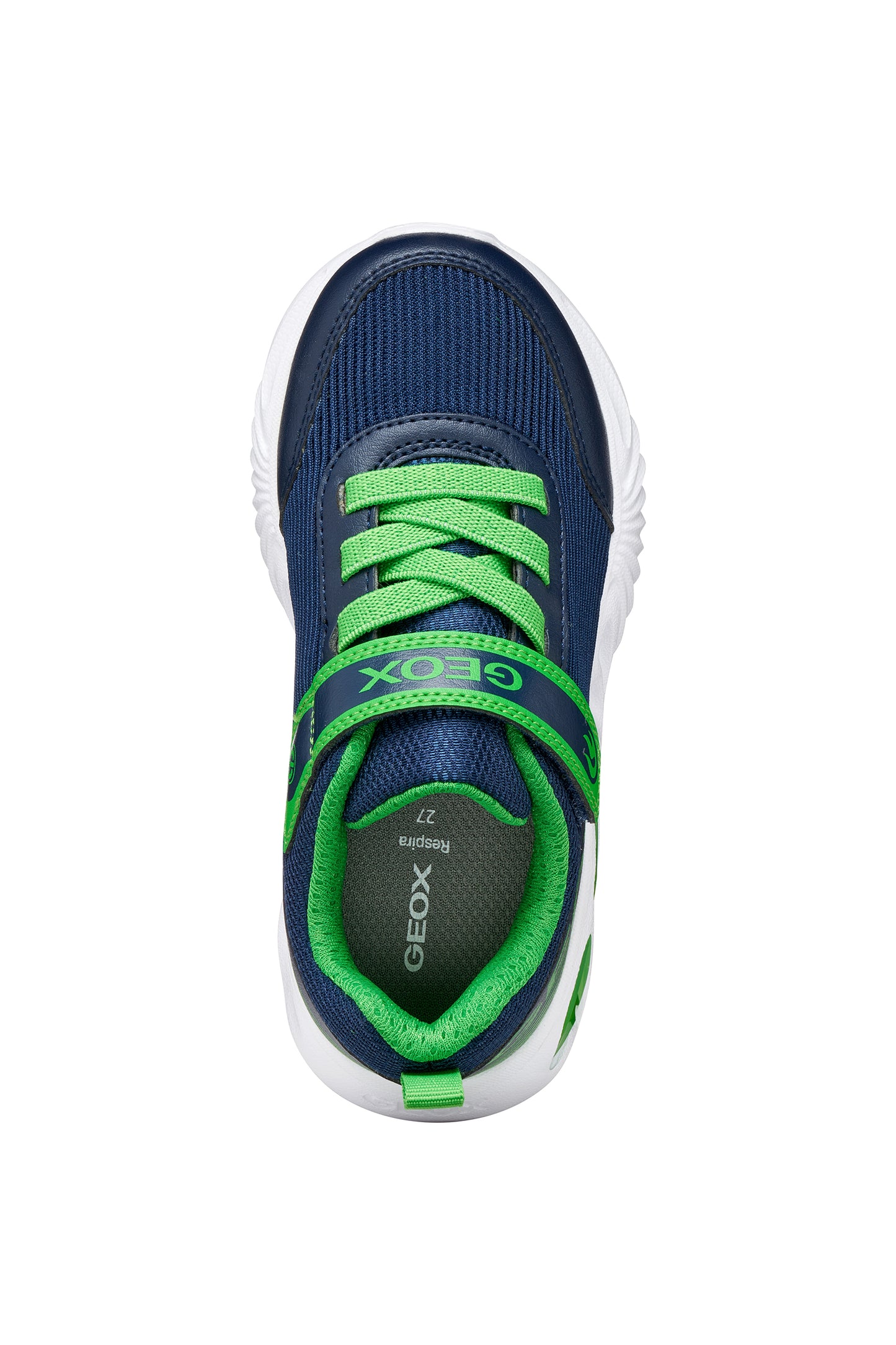 A boys trainer by Geox style Assister in navy/green with velcro strap, elastic laces, large geox logo on the side and lights in white sole. Top view