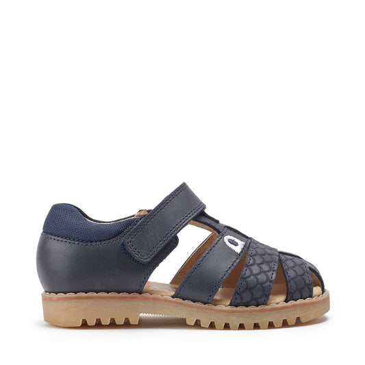 A boys Navy leather sandal by Start Rite,style Dino, with velcro fastening. Right side view.